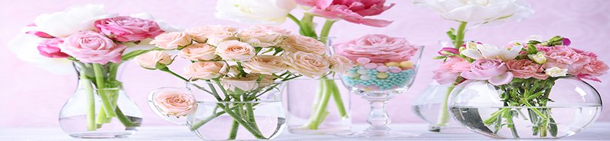 Vases Vases