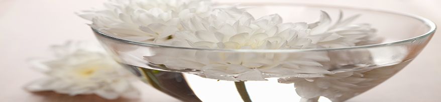Decorative Bowls & Plates Decorative Bowls & Plates