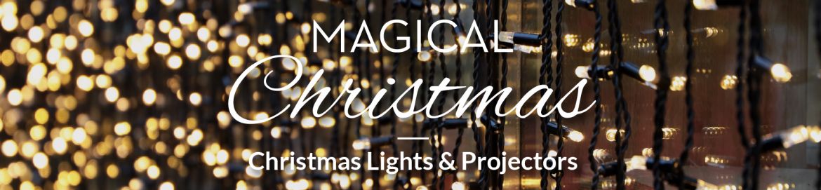Lights Lights