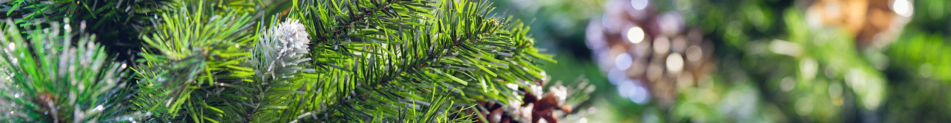 Christmas Trees