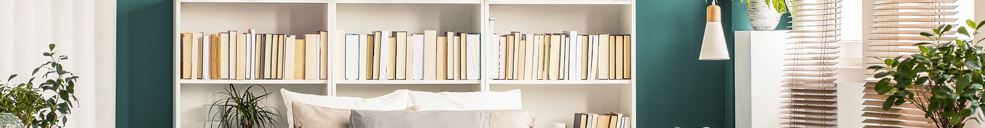 Bookcases & Bookshelves