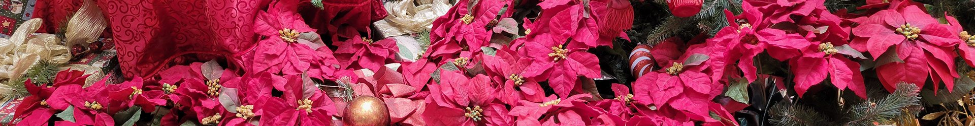 Christmas Floristry
