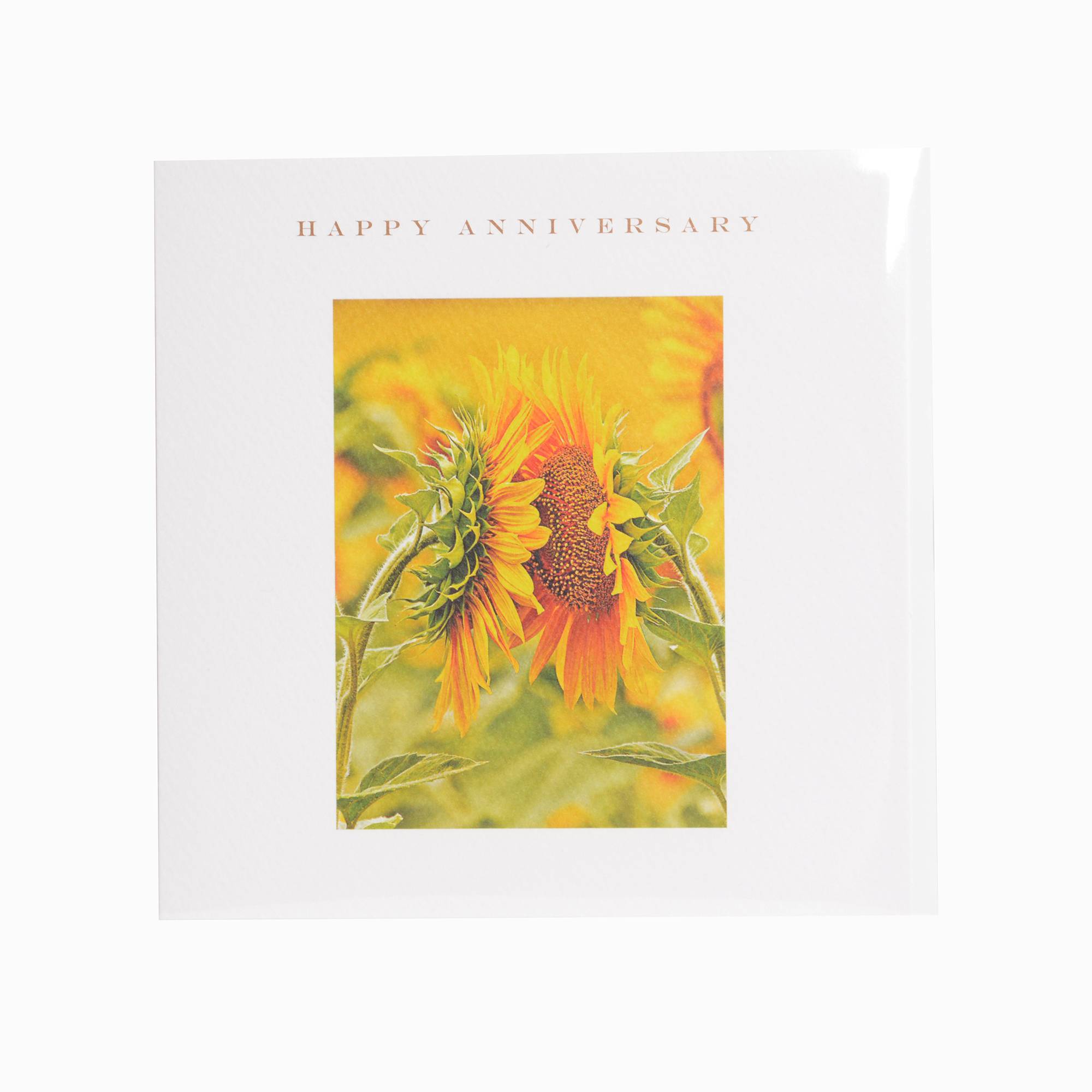 Art From Sunflower Kiss Happy Anniversary Greeting Card Meubles