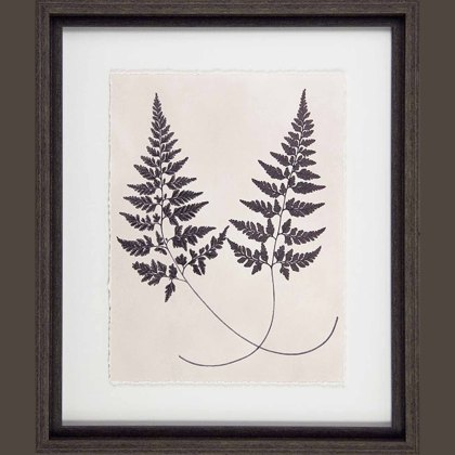 Camelot Vintage Fern