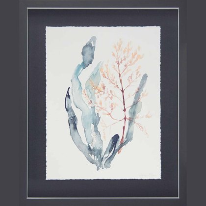 Sweet Seaweed II 43cm x 53cm Picture By Jennifer Goldberger Dark Grey Frame Sweet Seaweed II 43cm x 53cm Picture By Jennifer Goldberger Dark Grey Frame