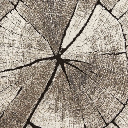 Woodland 2086 Rug Beige (Multiple Sizes) Woodland 2086 Rug Beige (Multiple Sizes)