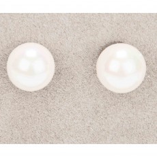 Newgrange Living Shell Pearl Stud Earrings White
