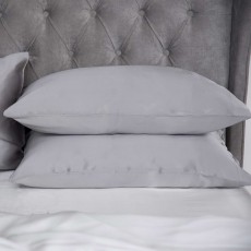 Mulberry Silk 450 Thread Count Pillowcase Platinum With Gift Box
