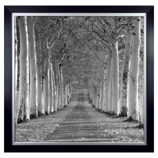 Camelot Epernay 117cmx117cm Picture Black Frame