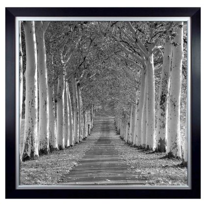 Epernay 117cmx117cm Picture Black Frame Epernay 117cmx117cm Picture Black Frame