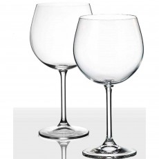 Anitex Gin Glasses (Set of 2)