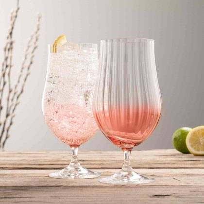 Erne Craft Beer/CocktailGlasses Blush (Set Of 2)