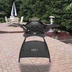 Q2200 Gas Grill Barbecue With Stand Black