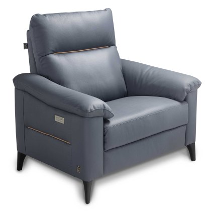 Oliver Armchair Leather Category B Oliver Armchair Leather Category B