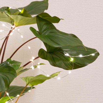 Micro LED Plant Lights Silver & Warm White 80cm