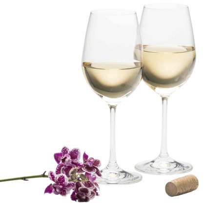 Elegance White Wine Glasses (Set of 2)