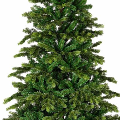 Galloway Christmas Tree (Multiple Sizes)