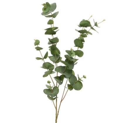 Eucalyptus Spray 98cm Eucalyptus Spray 98cm