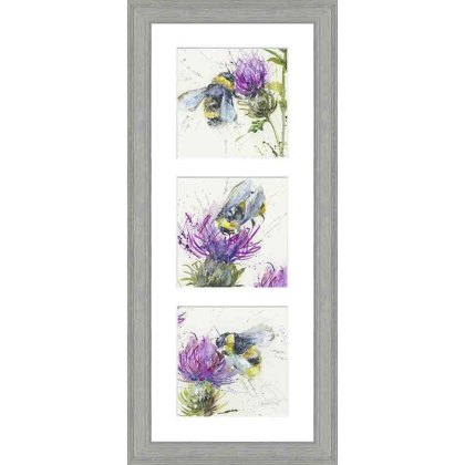Thistle Symphony 25cm x 55cm Picture By Nicola Jane Rowles Grey Frame Thistle Symphony 25cm x 55cm Picture By Nicola Jane Rowles Grey Frame