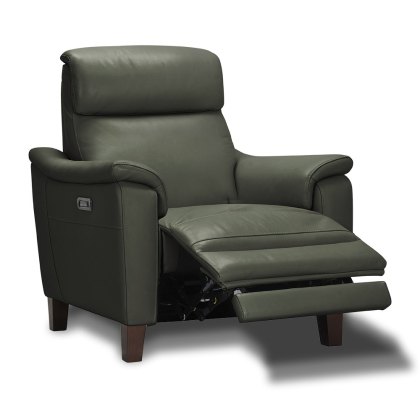 Selva Electric Reclining Armchair Leather Category 15(S) Selva Electric Reclining Armchair Leather Category 15(S)