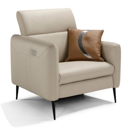 Eiger Armchair Leather Category B Eiger Armchair Leather Category B