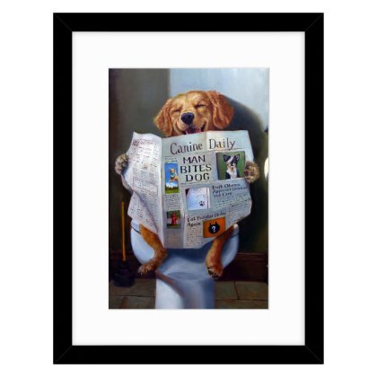 Dog Gone Funny 33.5cm x 43.5cm Picture By Lucia Heffernan Black Frame Dog Gone Funny 33.5cm x 43.5cm Picture By Lucia Heffernan Black Frame