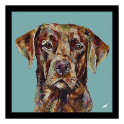 Red Fox Lab Small 43.5cm x 43.5cm Picture By Louise Luton Balck Frame Red Fox Lab Small 43.5cm x 43.5cm Picture By Louise Luton Balck Frame