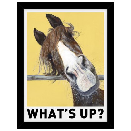 What's Up 33.5cm x 43.5cm Picture By Julia Pankhurst Black Frame What's Up 33.5cm x 43.5cm Picture By Julia Pankhurst Black Frame