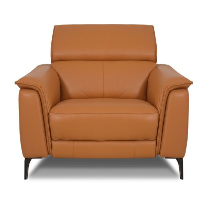 Davos Armchair Leather Category 20 BX/NW Davos Armchair Leather Category 20 BX/NW