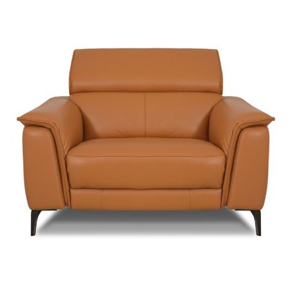 Davos Large Armchair Leather Category 20 BX/NW Davos Large Armchair Leather Category 20 BX/NW