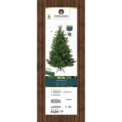 Nordmann Fir Christmas Tree Green (Multiple Sizs)