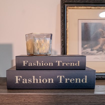 Fashion Decorative Book Box (Set Of 2)