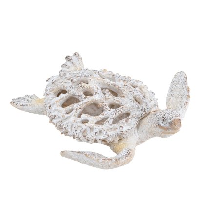 Sea Turtle Off White Sea Turtle Off White