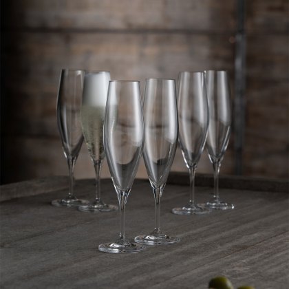 Cheers Champagne/Prosecco Flute (Set Of 6)