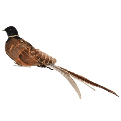 Decorative Pheasant On Clip 33cm Decorative Pheasant On Clip 33cm