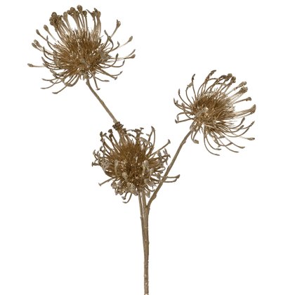 Thistle Spray Champagne 75cm Thistle Spray Champagne 75cm