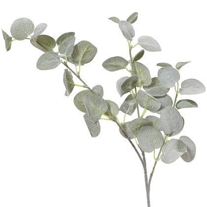 Eucalyptus Stem With Flock Finish Soft Green 69cm Eucalyptus Stem With Flock Finish Soft Green 69cm