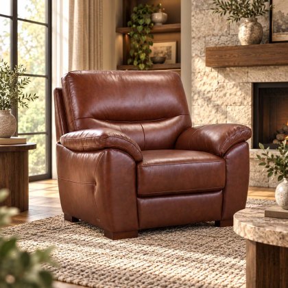 Novara Armchair Leather Category 13(S) Winchester Brown Novara Armchair Leather Category 13(S) Winchester Brown