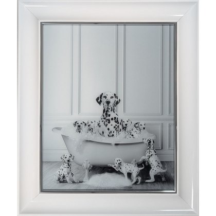 Dalmatians in the Bath 63cm x 53cm Picture White Frame Dalmatians in the Bath 63cm x 53cm Picture White Frame