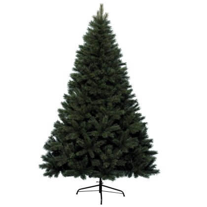 Canada Spruce Christmas Tree Green (Multiple Sizes)