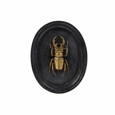 Insect Plaque Black & Gold (Set of 3)