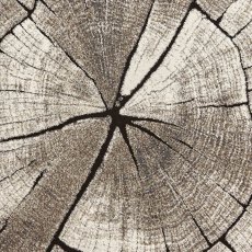 Woodland 2086 Rug Beige (Multiple Sizes) Woodland 2086 Rug Beige (Multiple Sizes)