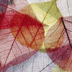 Sunrise 22368 Rug Multi Coloured (Multiple Sizes)