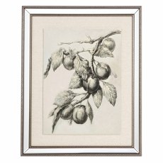 Spring Prints 50cm x 60cm (Set Of 3) Mirror Frame