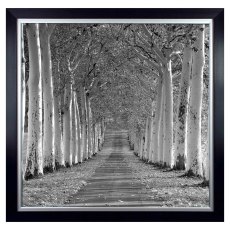 Epernay 117cmx117cm Picture Black Frame Epernay 117cmx117cm Picture Black Frame
