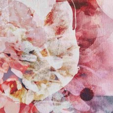 FL0024 Rug Rose & Black (Multiple Sizes) FL0024 Rug Rose & Black (Multiple Sizes)