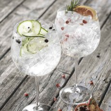 Elegance Gin & Tonic Glasses (Set of 2)