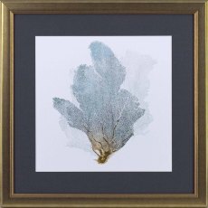 Delicate Coral B 46cm x 46cm Picture Gold Frame Delicate Coral B 46cm x 46cm Picture Gold Frame