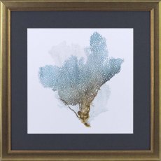 Delicate Coral C 46cm x 46cm Picture Gold Frame Delicate Coral C 46cm x 46cm Picture Gold Frame