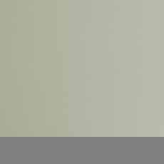 Wild Flowers Duvet Cover Set Green (Multiple Sizes)